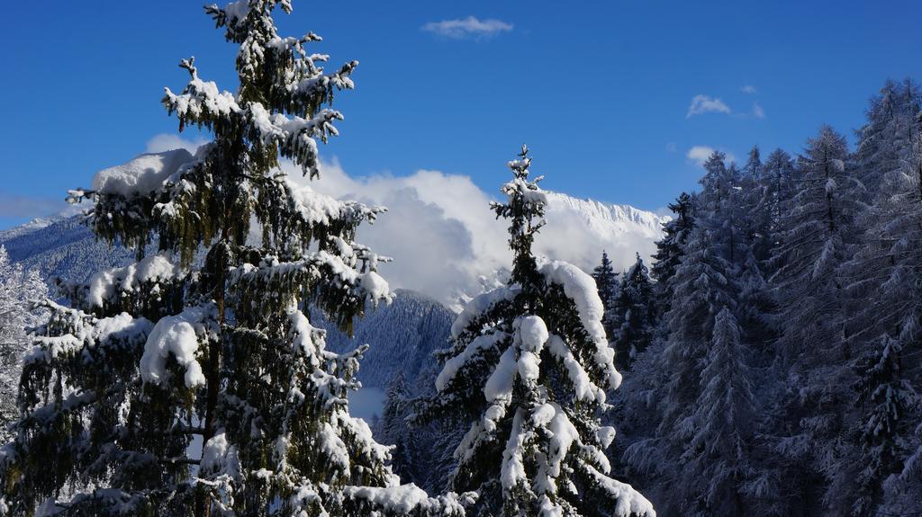 Appartement Alpenblick