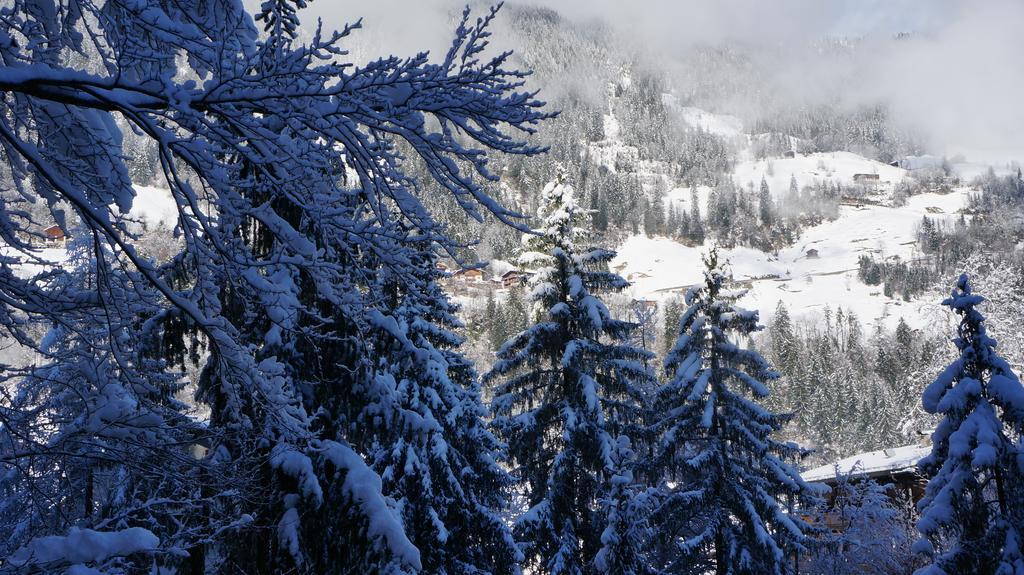 Alpenblick *