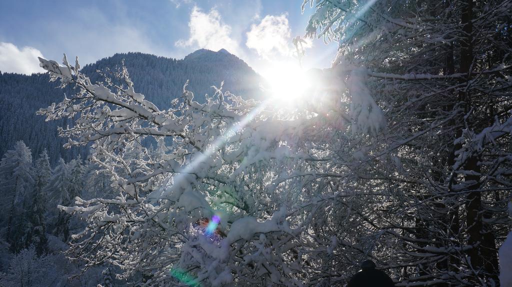Appartement Alpenblick *