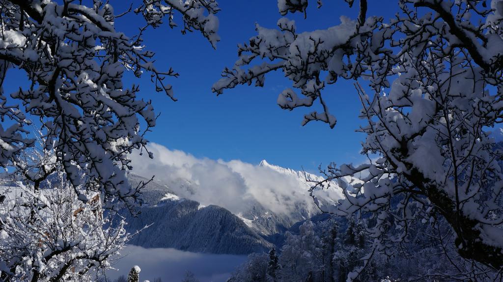 Alpenblick