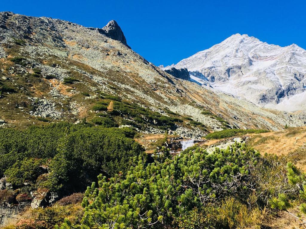 Alpenblick Appartement *