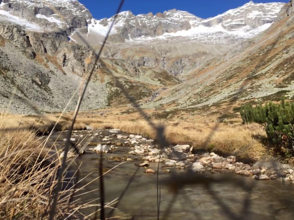 Alpenblick
